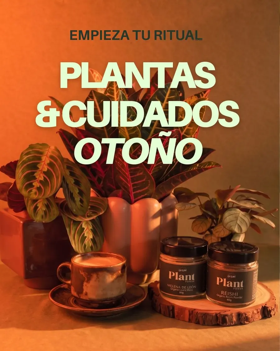 Campaña de temporada de Pur Plant